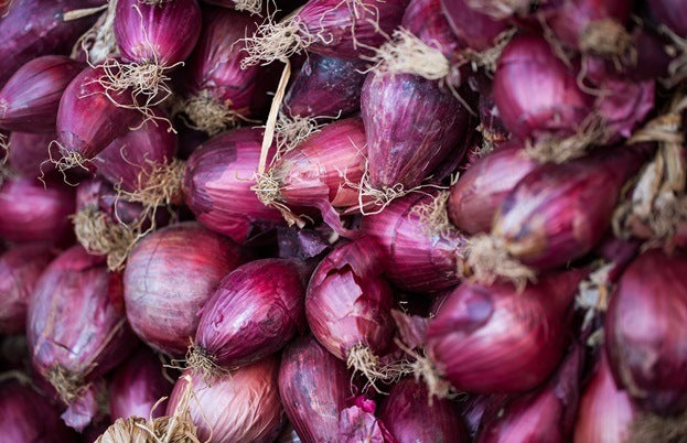 Cipolla Rossa in Agrodolce