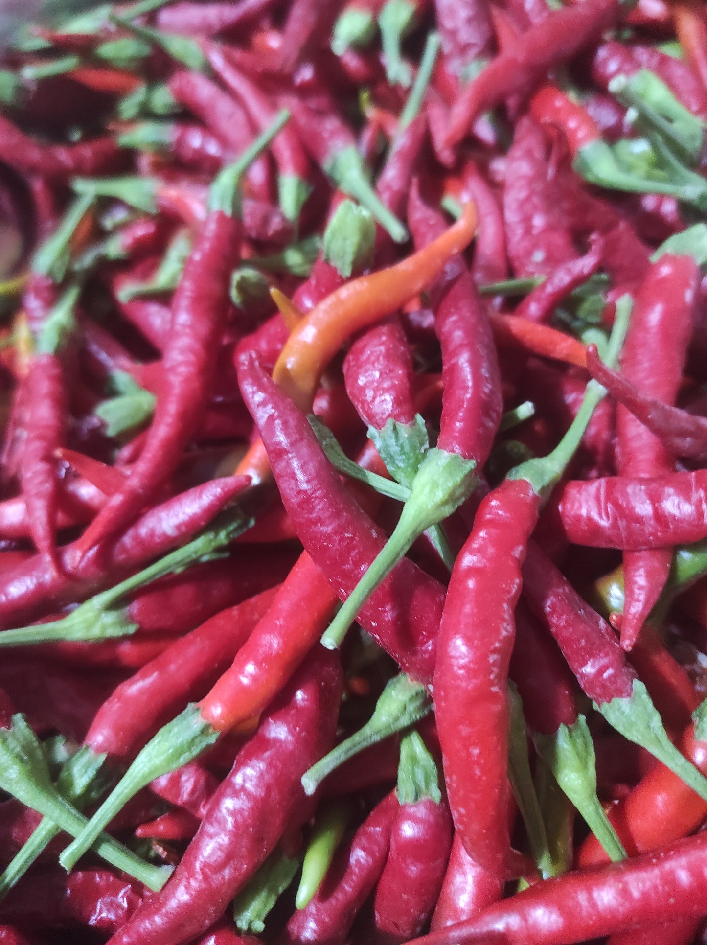Scaglie di Peperoncino