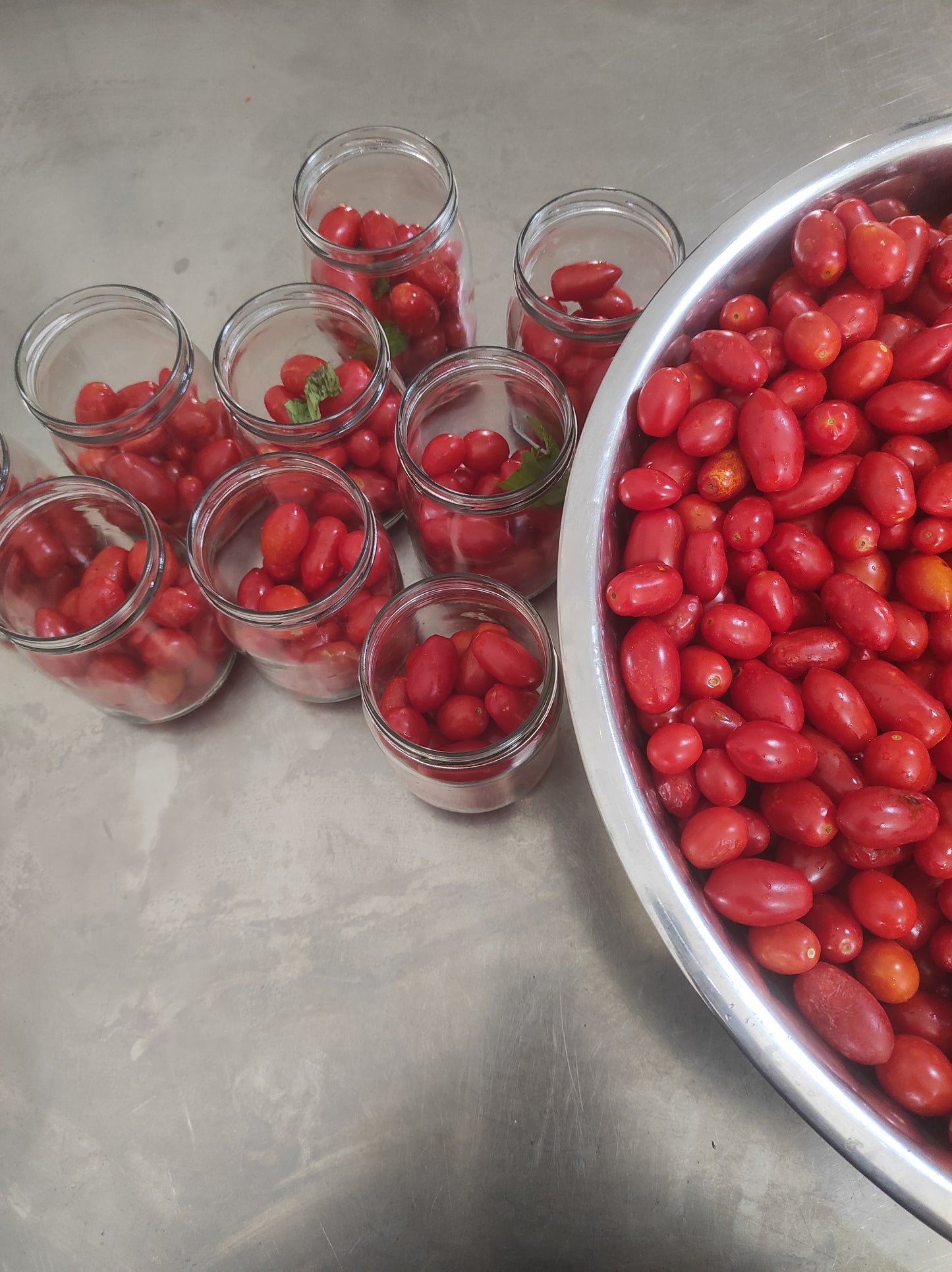 Datterino in passata di pomodoro