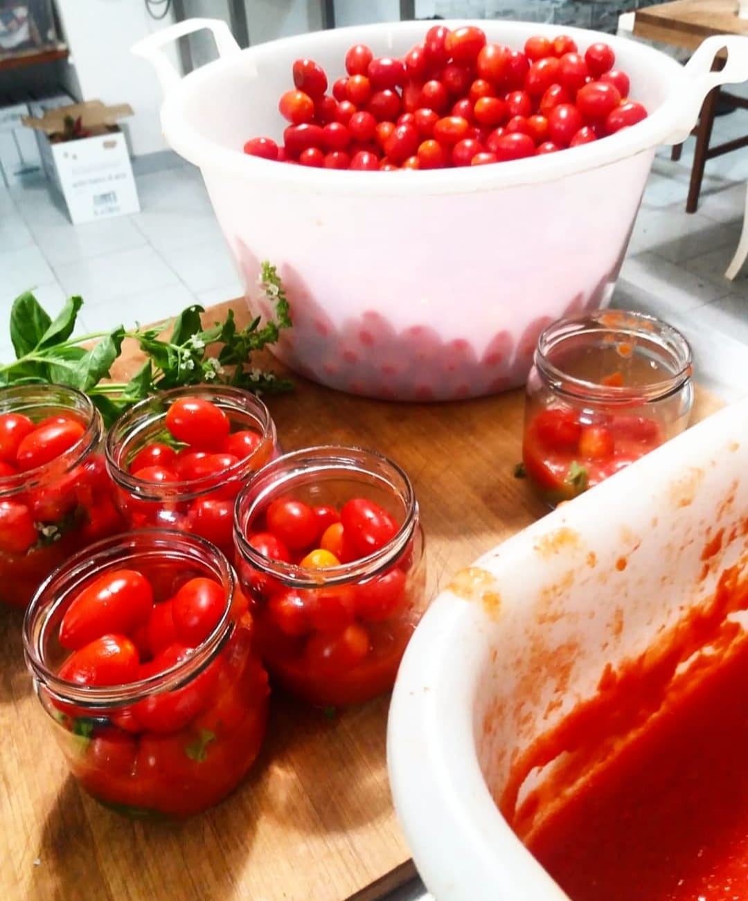 Datterino in passata di pomodoro